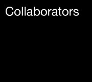 collaborators